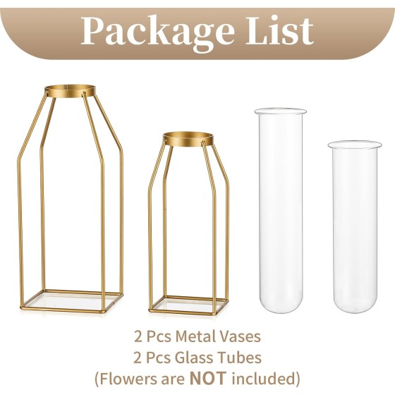 Metal Tabletop Vase – Gold Frame with Glass Test Tube (8-inch/10-inch); Modern-Style Vase for Coffee Tables or Living Rooms; Abstract Geometric Art Design